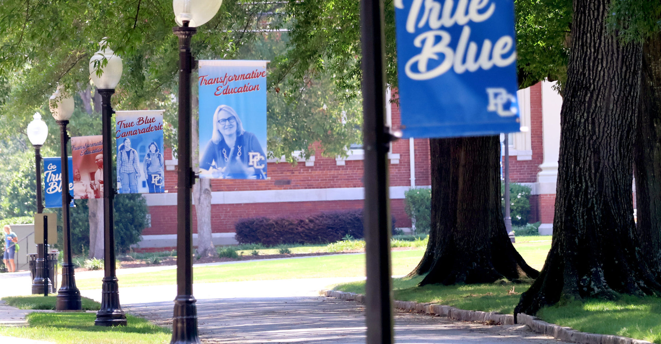 Light pole banners
