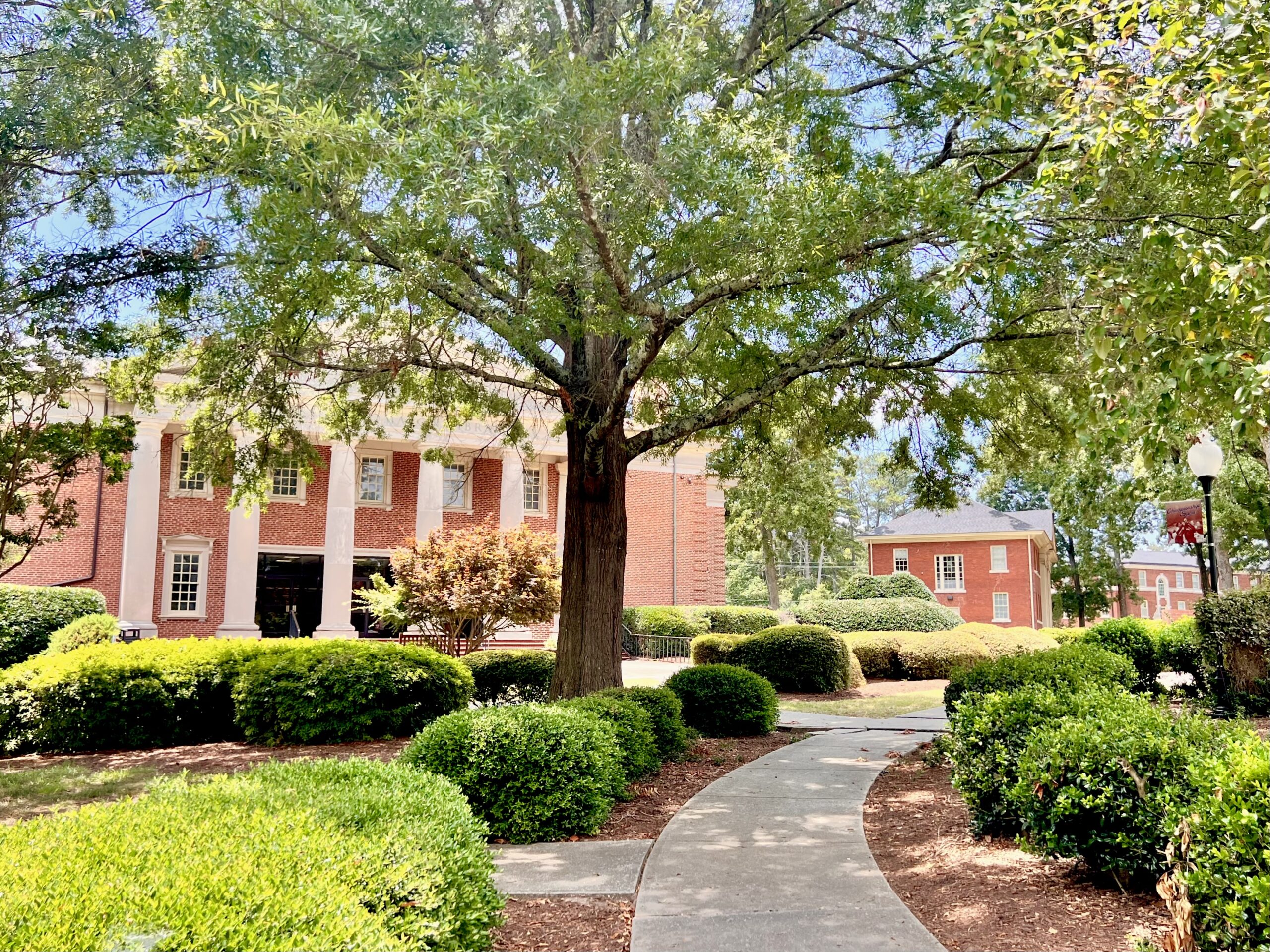 A view of Thomason Library between the trees.