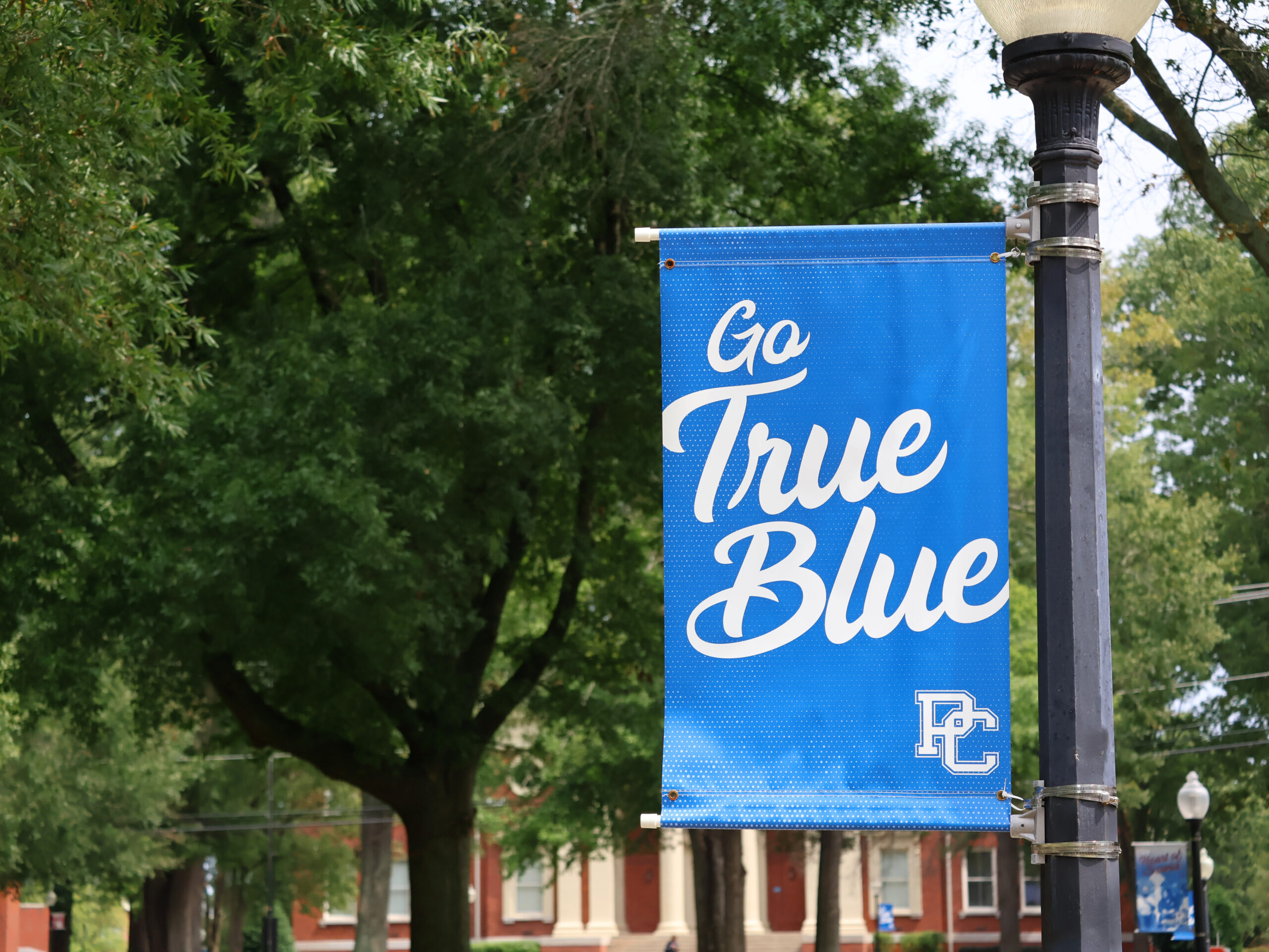 Image of the Go True Blue banner on campus.