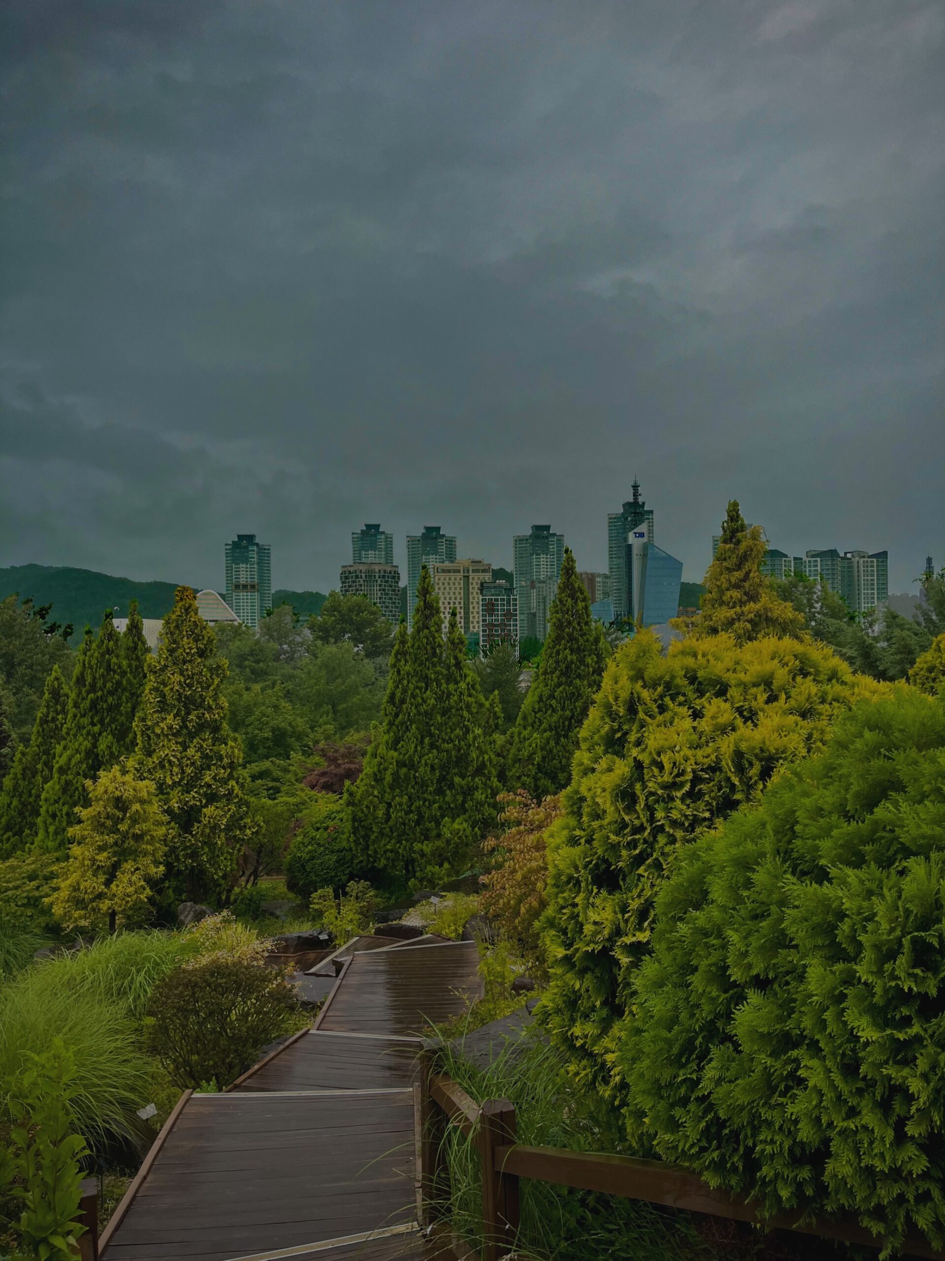 Hanbat Arboretum and skyline in Daejeon, Korea.